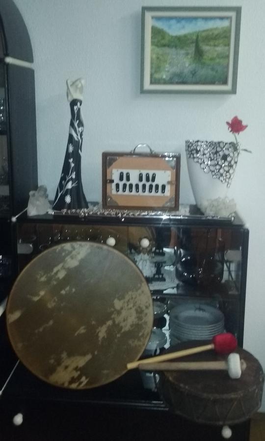 Sound Apartma Eva Radovljica Esterno foto